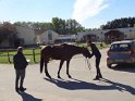 2016-10-06 15-15-42 Parc de la Courneuve DLe